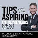Tips for Aspiring Entrepreneurs Bundle, 3 in 1 Bundle, Starting a Business, Effective Entrepreneurship, and The Accounting Game