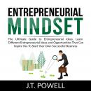 Entrepreneurial Mindset: The Ultimate Guide to Entrepreneurial Ideas, Learn Different Entrepreneuria Audiobook