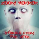 Zoom Horror: A Short Scary Story Audiobook