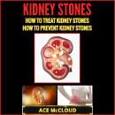 Kidney Stones: How To Treat Kidney Stones: How To Prevent Kidney Stones Audiobook