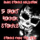Scary Stories Collection Audiobook
