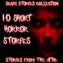 Scary Stories Collection Audiobook