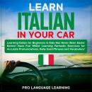 Learn Italian in Your Car Audiobook