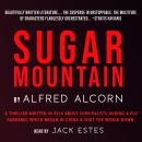 Sugar Mountain Audiobook