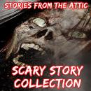 Scary Story Collection Audiobook