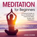 Meditation for Beginners: A Practical Guide on How to Meditate and Overcome Stress, Anxiety and Depression Audiobook
