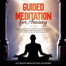 Guided Meditation for Anxiety Audiobook