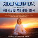 Guided Meditations for Self Healing and Mindfulness Audiobook