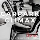 Carpark Climax: An Erotic True Confession