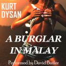 A Burglar In Malay Audiobook