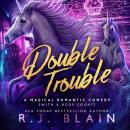 Double Trouble Audiobook