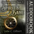 Spirit's Bane: A Young Adult Guardian Angel Christian Fantasy Novel Audiobook