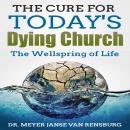 The Cure for Today's Dying Church: The Wellspring of Life Audiobook