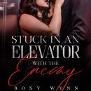 Stuck in an Elevator With the Enemy: An Enemies to Lovers Romance