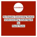 An Enquiry Concerning Human Understanding (Unabridged) Audiobook
