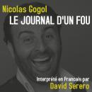 Journal d'un Fou (Nicolas Gogol): Interprété en Francais par David Serero Audiobook