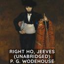 Right Ho, Jeeves  (Unabridged) Audiobook