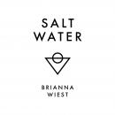 Salt Water Audiobook