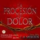 La Procesión del Dolor: Tomaron, pues, a Jesús, y le llevaron. Juan 19:16 Audiobook