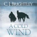 A Cold Wind Audiobook