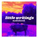 Little Writings: Mother India in Essays Audiobook