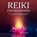 Reiki for Beginners: Learn the Ultimate Reiki Meditation Techniques to Increase Your Energy Beyond Belief.