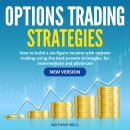 Options Trading Strategies: How to Build a Six-Figure Income with Options Trading Using the Best-Pro Audiobook
