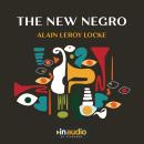 The New Negro: An Interpretation Audiobook