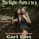 Sight, The - Parts 1 to 3 Audiobook