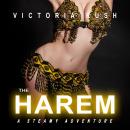 The Harem: A Steamy Adventure Audiobook