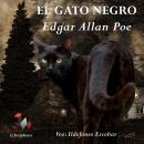 EL GATO NEGRO: Edgar Allan Poe Audiobook