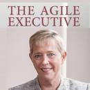The Agile Executive: Embracing Career Risks and Rewards Audiobook
