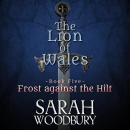 Frost Against the Hilt: The Lion of Wales Series, Sarah Woodbury