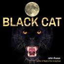 Black Cat Audiobook