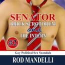 Senator Brick Scrotorum and the Intern Audiobook