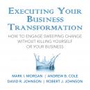 Executing Your Business Transformation: How to Engage Sweeping Change Without Killing Yourself Or Yo Audiobook