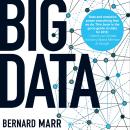 Big Data: Using SMART Big Data, Analytics and Metrics To Make Better Decisions and Improve Performan Audiobook