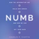 Numb: How the Information Age Dulls Our Senses and How We Can Get them Back Audiobook