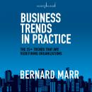 Business Trends in Practice: The 25+ Trends That are Redefining Organizations Audiobook