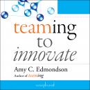 Teaming to Innovate Audiobook