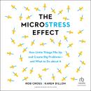 The Microstress Effect: How Little Things Pile Up and Create Big Problems—and What to Do about It Audiobook
