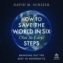 How to Save the World in Six (Not So Easy) Steps: Bringing Out the Best in Nonprofits Audiobook
