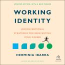 Working Identity, Updated Edition, With a New Preface: Unconventional Strategies for Reinventing You Audiobook