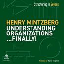Understanding Organizations...Finally!: Structuring in Sevens Audiobook