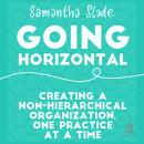 Going Horizontal: Creating a Non-Hierarchical Organization, One Practice at a Time Audiobook