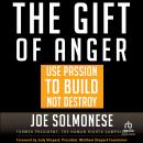 Cover of The Gift of Anger: Use Passion to Build Not Destroy