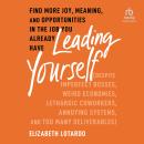 Leading Yourself: Find More Joy, Meaning, and Opportunities in the Job You Already Have (Despite Imp Audiobook