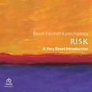 Risk: A Very Short Introduction Audiobook