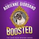 Boosted: A Cozy Couture Romantic Crime Comedy Audiobook