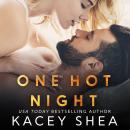 One Hot Night Audiobook